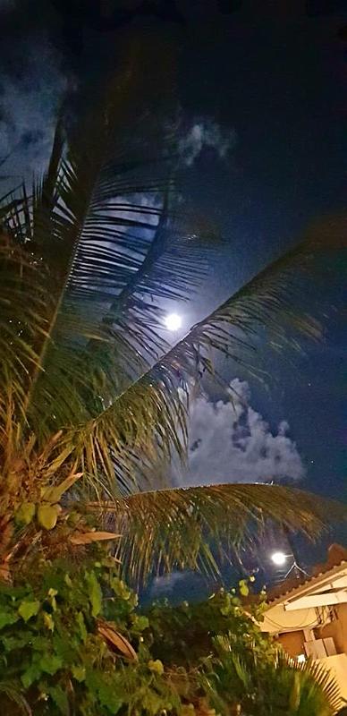 Bonaire 2018 11.jpg